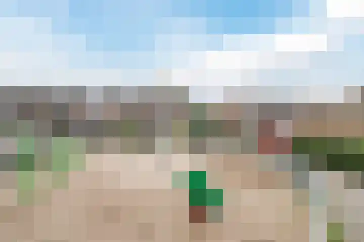 Vermeerlaan 27 Scherpenzeel thumbnail 40