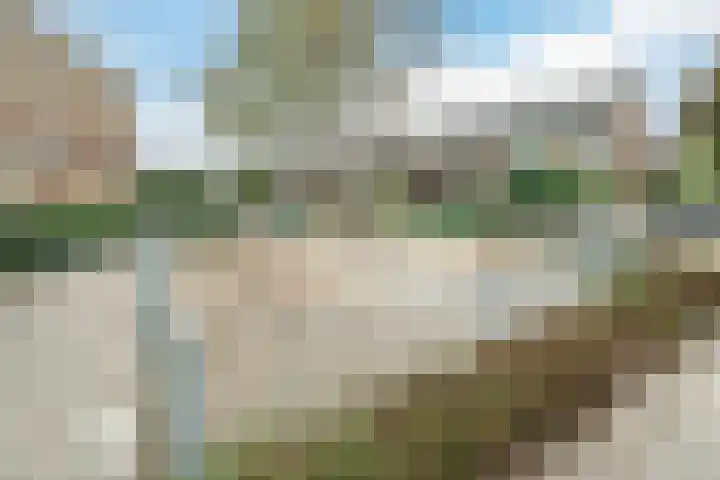Vermeerlaan 27 Scherpenzeel thumbnail 41