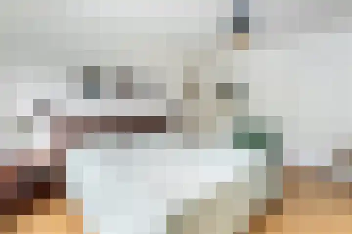Vermeerlaan 3 Naarden thumbnail 23