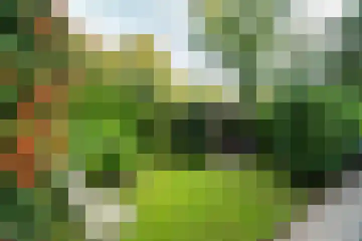 Vermeerlaan 3 Naarden foto 3