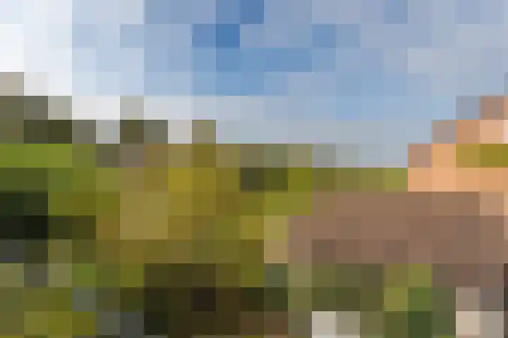 Vermeerlaan 3 Naarden thumbnail 30