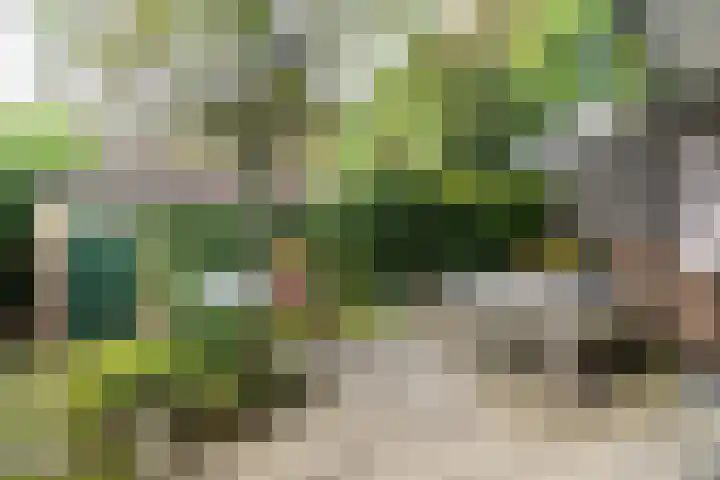 Vermeerlaan 3 Naarden thumbnail 39