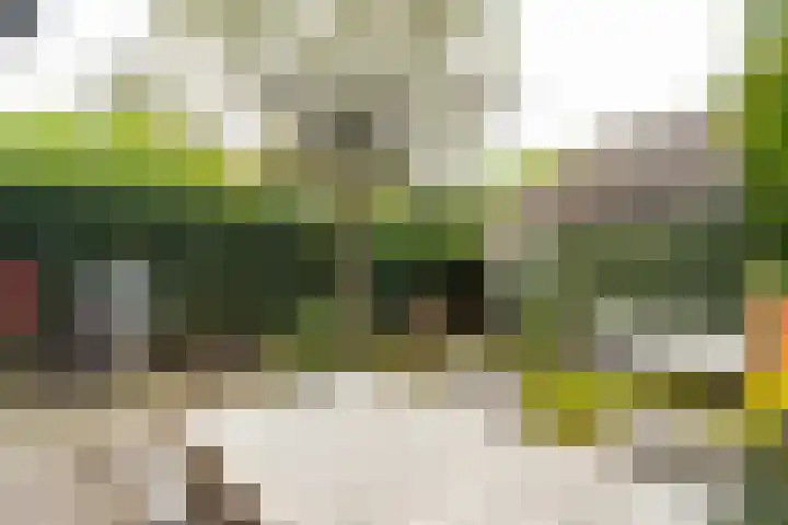 Vermeerlaan 3 Naarden thumbnail 41