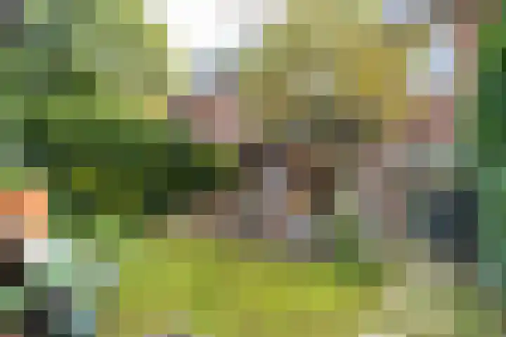 Vermeerlaan 3 Naarden thumbnail 42