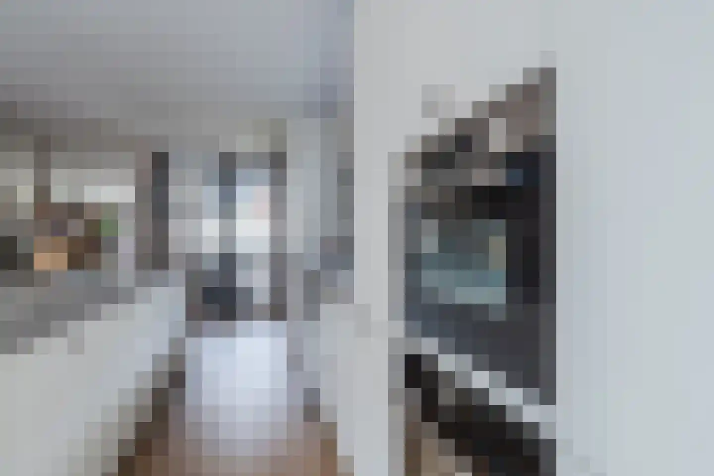 Vermeerlaan 39 Maassluis thumbnail 13