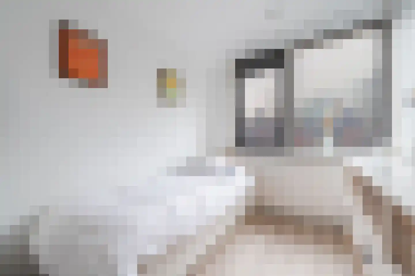 Vermeerlaan 39 Maassluis thumbnail 29