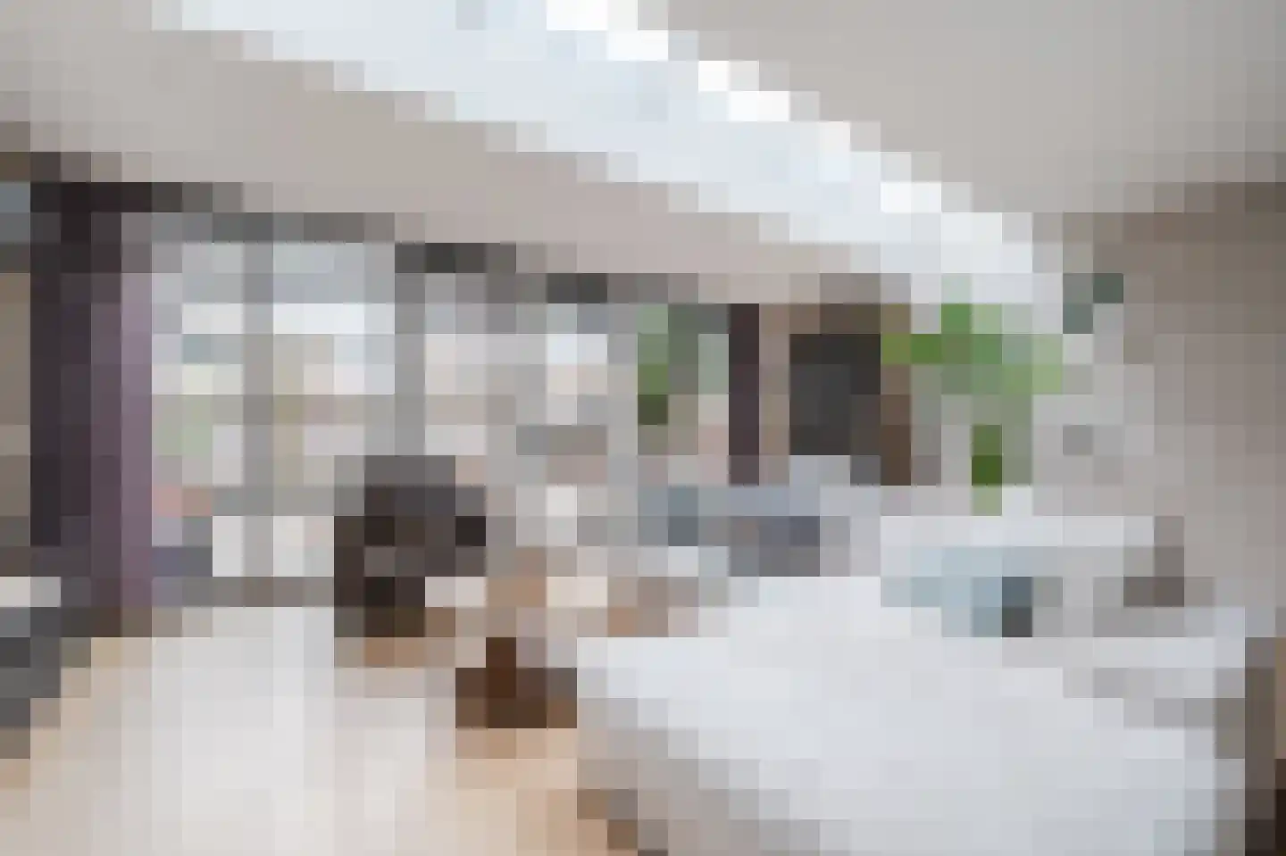 Vermeerlaan 39 Maassluis thumbnail 4