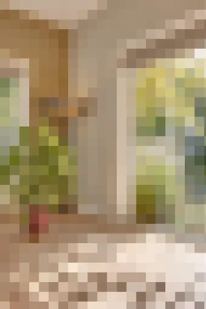 Vermeerlaan 45 Bilthoven thumbnail 10