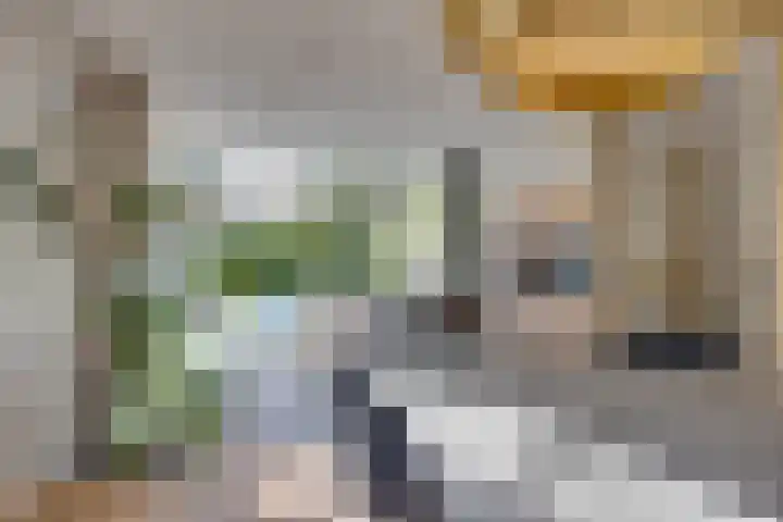 Vermeerlaan 45 Bilthoven thumbnail 13