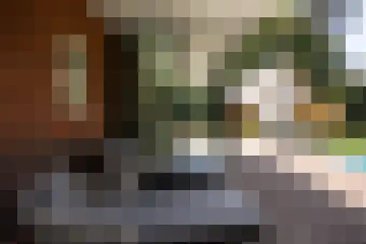 Vermeerlaan 45 Bilthoven thumbnail 17