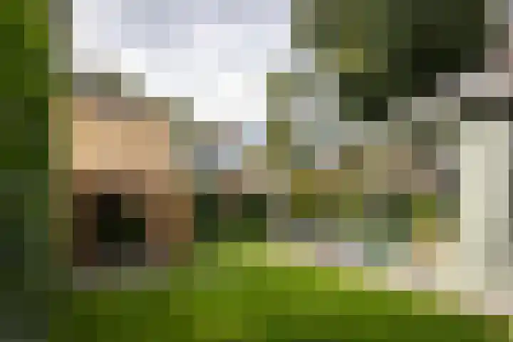 Vermeerlaan 45 Bilthoven thumbnail 21