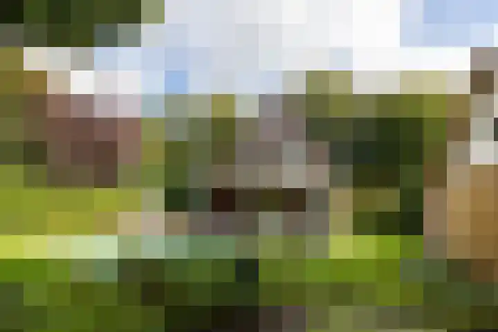 Vermeerlaan 45 Bilthoven thumbnail 22