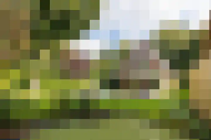 Vermeerlaan 45 Bilthoven thumbnail 23