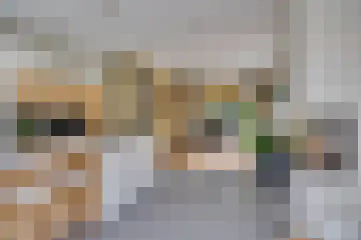 Vermeerlaan 45 Bilthoven thumbnail 28
