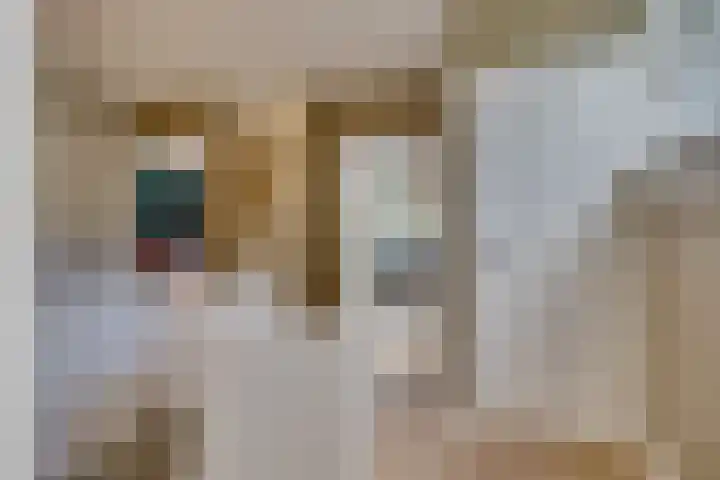 Vermeerlaan 45 Bilthoven thumbnail 33