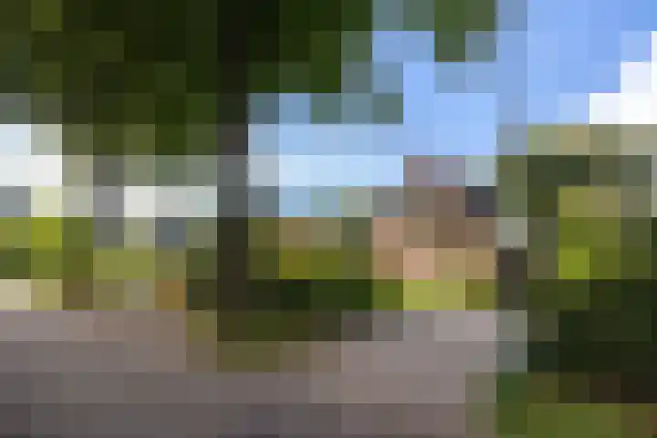 Vermeerlaan 45 Bilthoven thumbnail 52