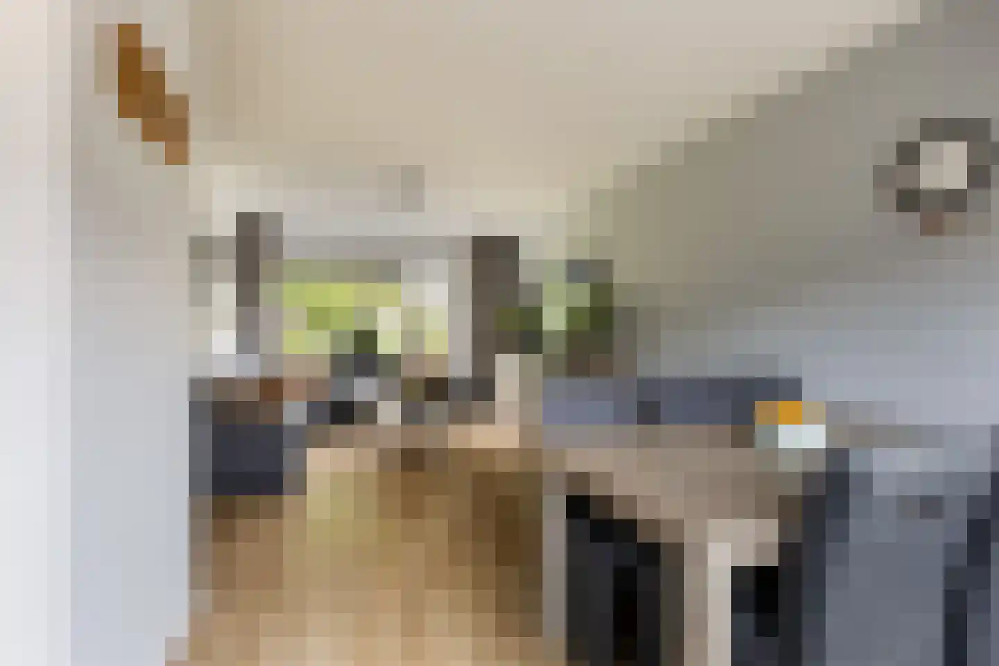 Vermeerlaan 52 Woudenberg thumbnail 12