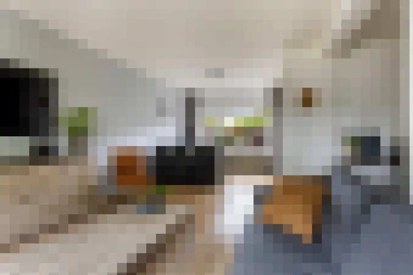 Vermeerlaan 52 Woudenberg thumbnail 14