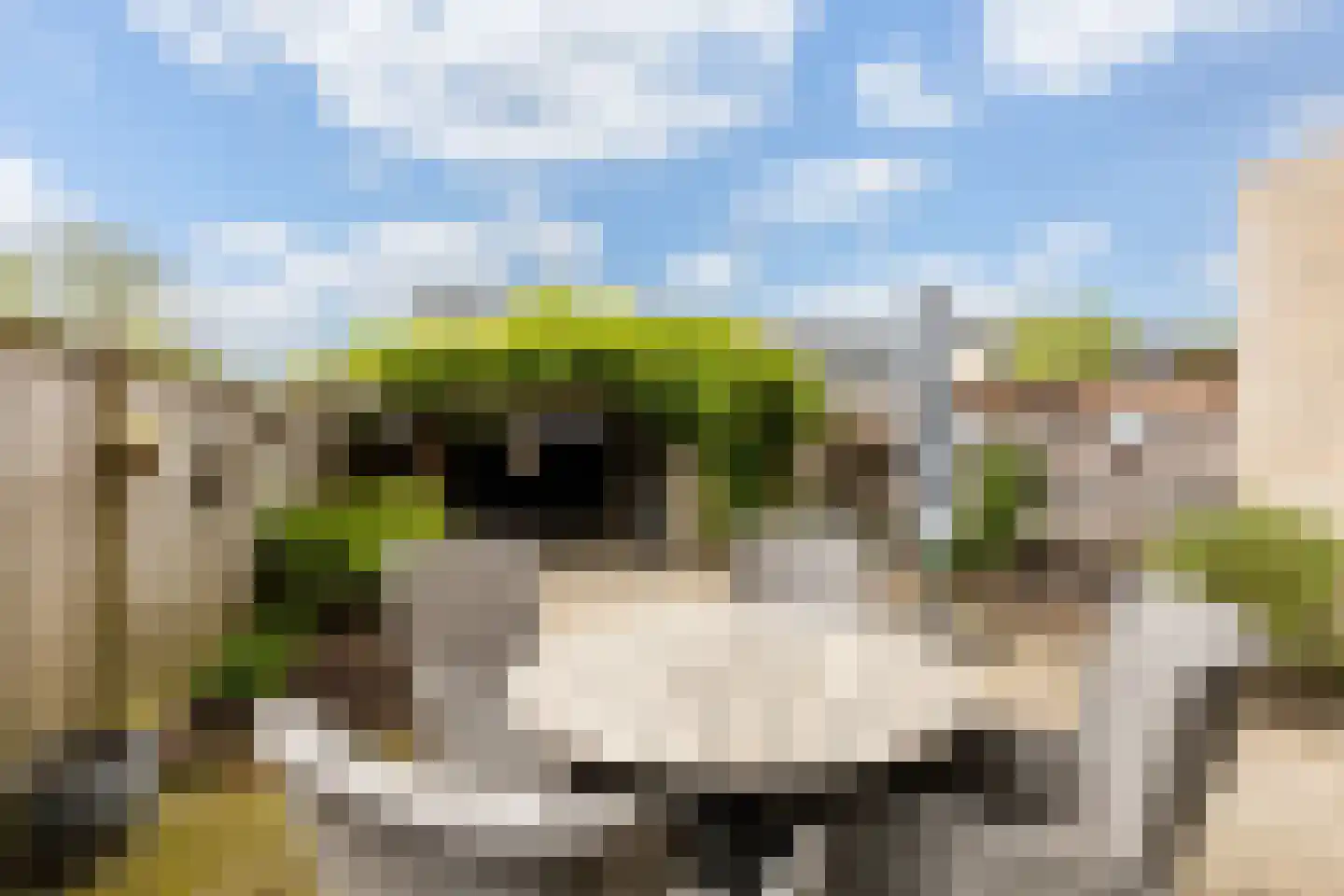 Vermeerlaan 52 Woudenberg thumbnail 19