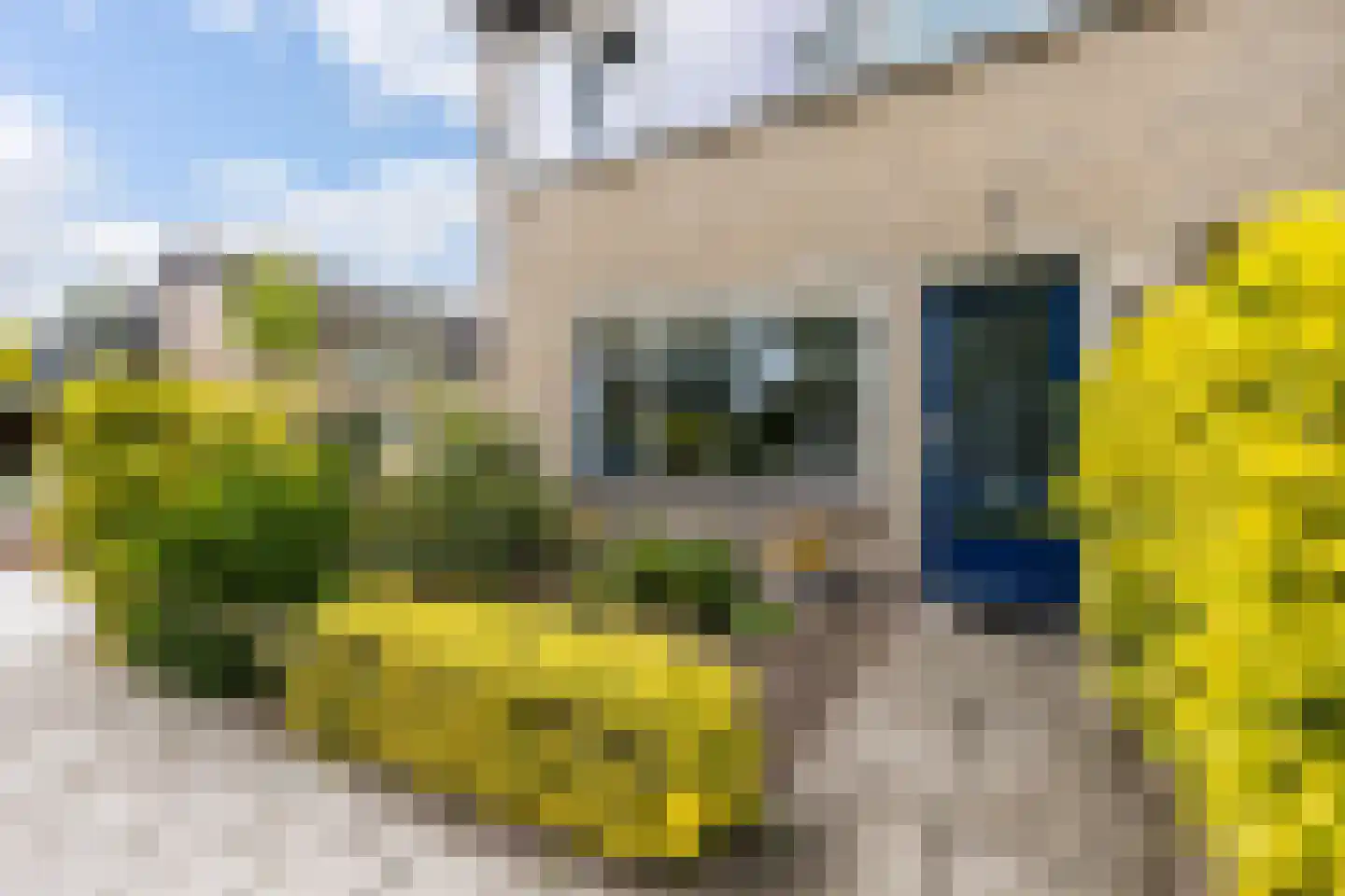 Vermeerlaan 52 Woudenberg thumbnail 7