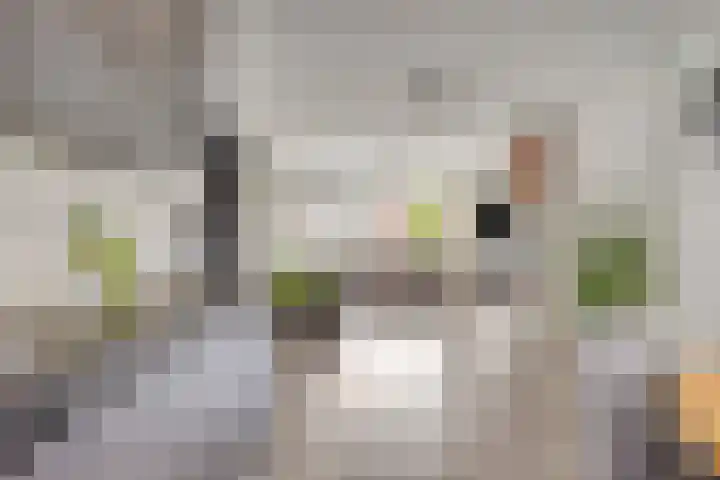 Vermeerlaan 59 Soest thumbnail 7