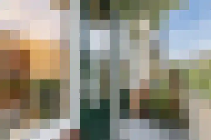Vermeerlaan 65 Soest thumbnail 32