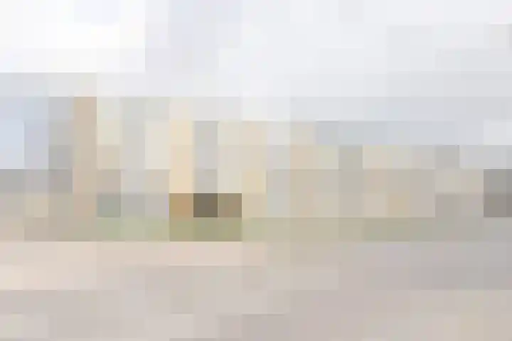 Vermeerlaan 65 Soest thumbnail 40