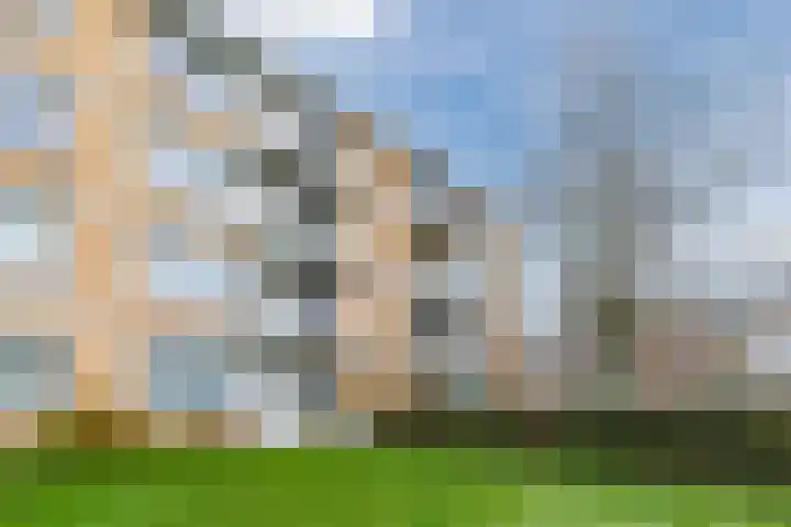 Vermeerlaan 65 Soest thumbnail 48