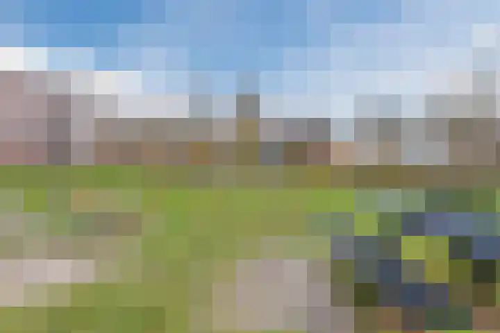 Vermeerlaan 65 Soest thumbnail 50