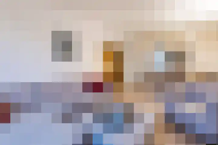 Vermeerlaan 65 Soest thumbnail 7
