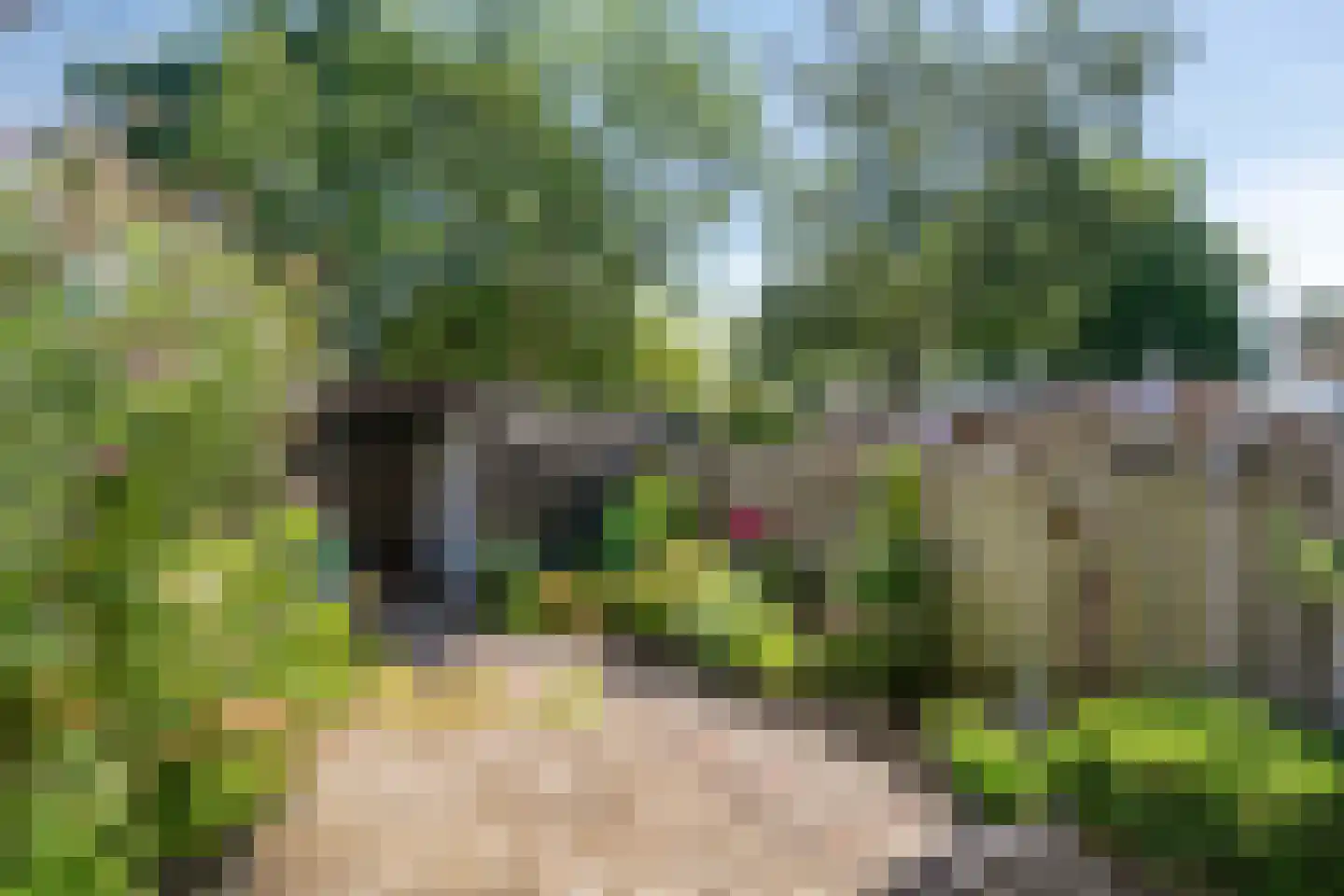 Vermeerplantsoen 137 Drunen thumbnail 24