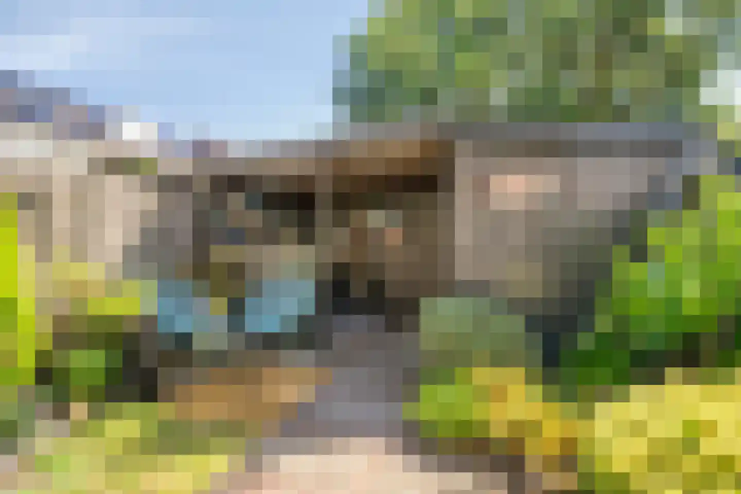 Vermeerplantsoen 137 Drunen thumbnail 25