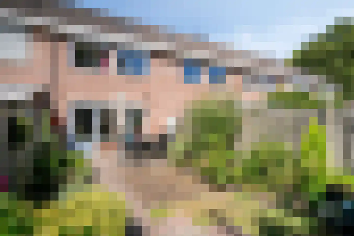 Vermeerplantsoen 137 Drunen thumbnail 27