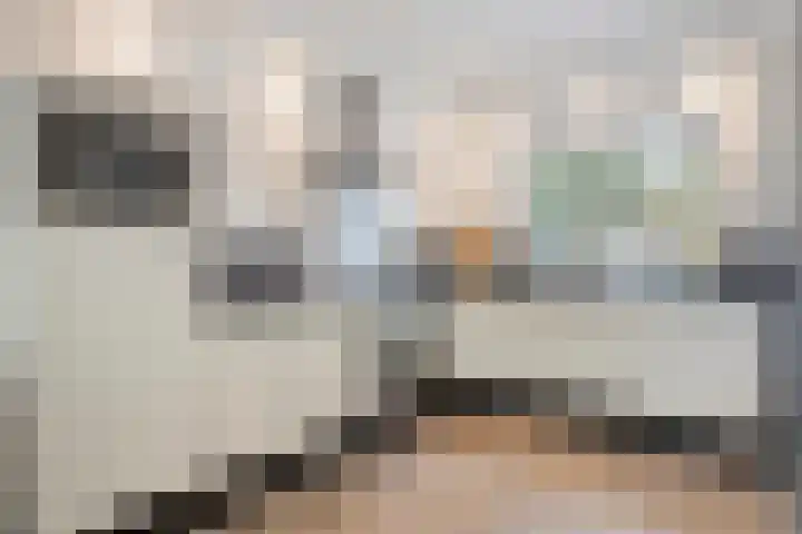 Vermeerplantsoen 15 Drunen thumbnail 12