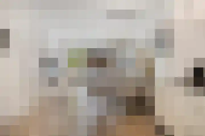 Vermeerplantsoen 15 Drunen thumbnail 14