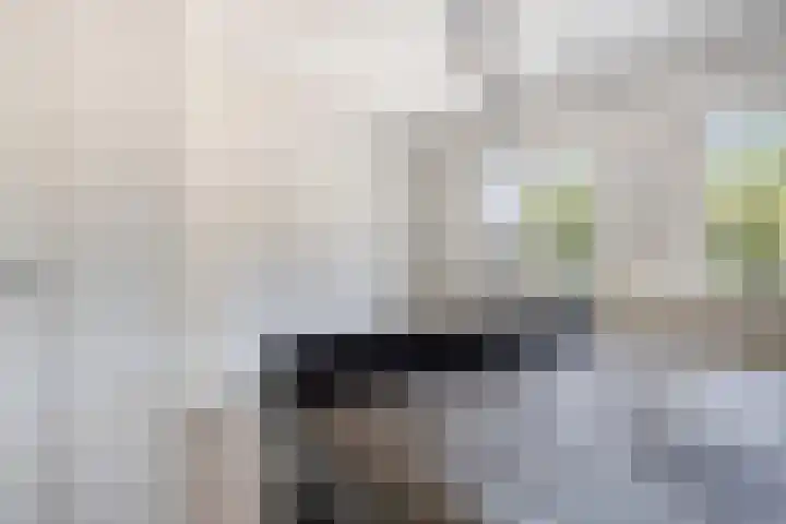Vermeerplantsoen 15 Drunen thumbnail 18