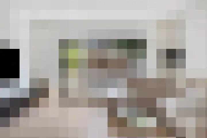 Vermeerplantsoen 15 Drunen foto 2