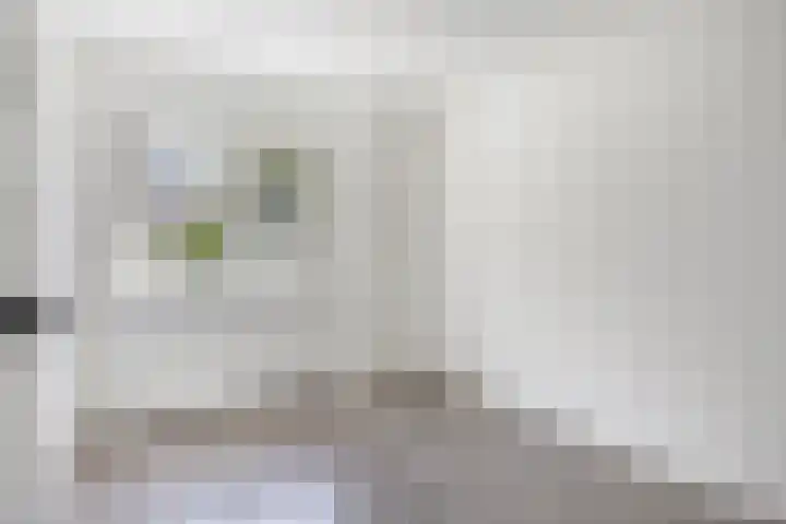 Vermeerplantsoen 15 Drunen thumbnail 21