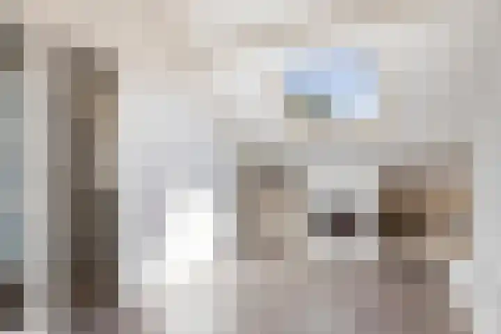 Vermeerplantsoen 15 Drunen thumbnail 26