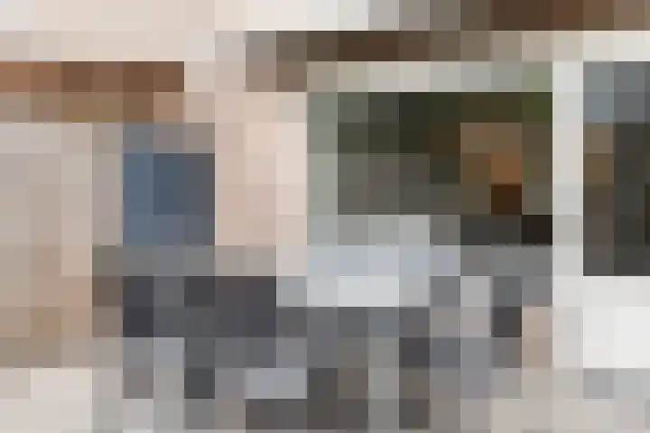 Vermeerplantsoen 15 Drunen thumbnail 29
