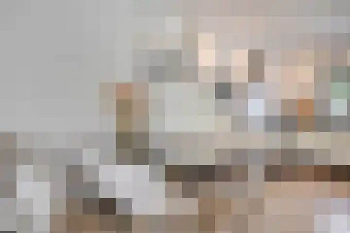 Vermeerplantsoen 15 Drunen foto 3