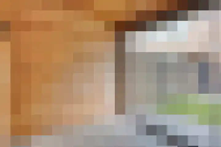 Vermeerplantsoen 15 Drunen thumbnail 31