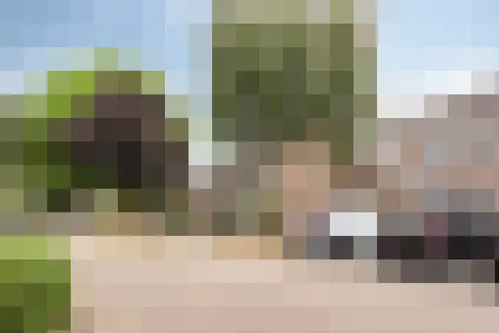 Vermeerplantsoen 15 Drunen thumbnail 33