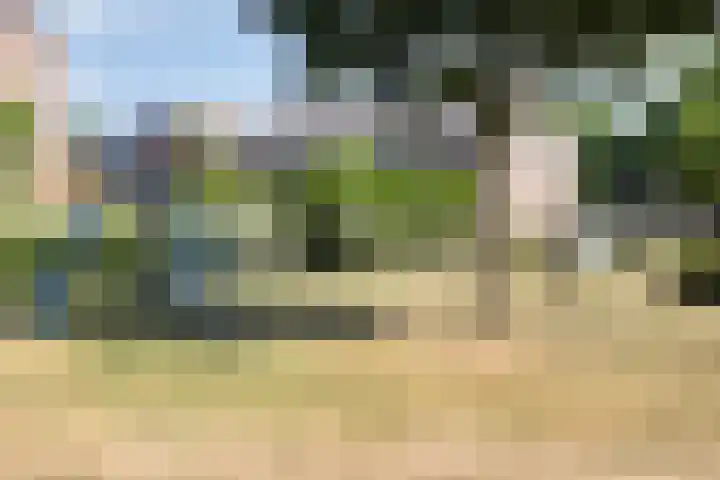Vermeerplantsoen 15 Drunen thumbnail 34
