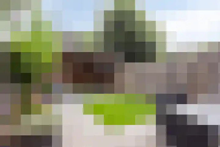 Vermeerplantsoen 15 Drunen thumbnail 4