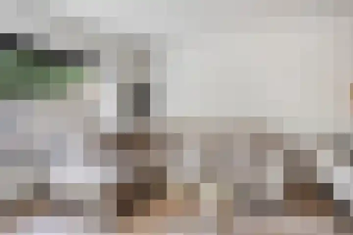 Vermeerplantsoen 15 Drunen thumbnail 7