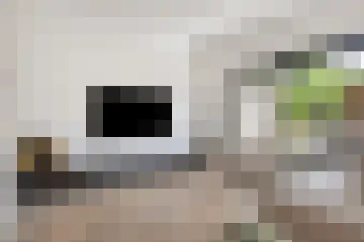 Vermeerplantsoen 15 Drunen thumbnail 8