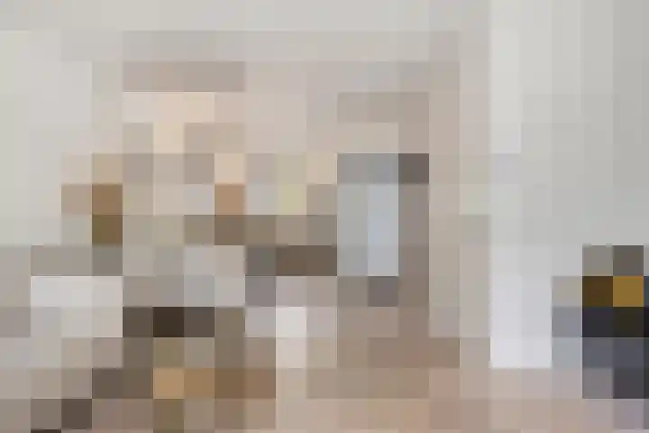 Vermeerplantsoen 15 Drunen thumbnail 9