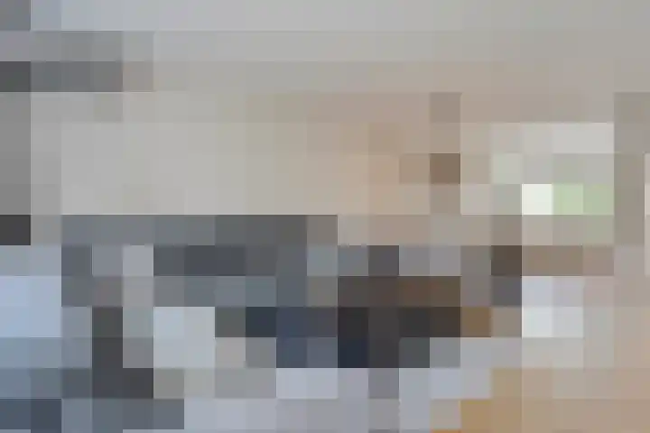 Vermeerplantsoen 154 Drunen thumbnail 11