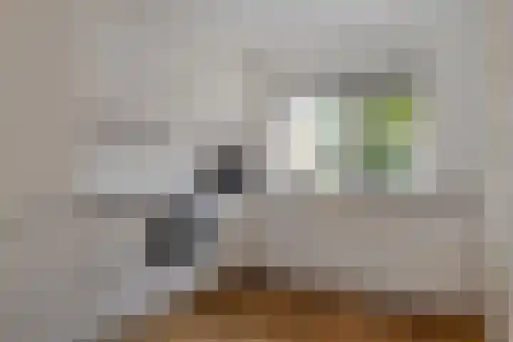 Vermeerplantsoen 154 Drunen thumbnail 12